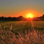 Sun in Leo Sign positive or negative : सूर्य का राशि परिवर्तन- 12 राशियों मे किसको होगा लाभ या किसको...Surya Gochar 2022 27 Sun in Leo Sign सूर्य का राशि परिवर्तन