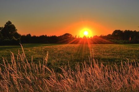 Sun in Leo Sign सूर्य का राशि परिवर्तन