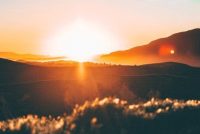 12 राशियों के अनुसार माणिक्य का प्रभाव Manikya se Labh-Benefits of Ruby 3 सूर्य की महादशा में विभिन्न ग्रहों की अंतर्दशा का फल Surya ki Mahadasha me Vibhinn Grahon ki Antardasha ka fal