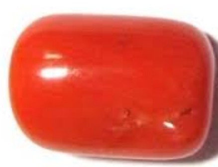 मूंगा किसके लिए लाभदायक होता है ? 15 benefits of Coral 15 benefits of Coral मूंगा किसके लिए लाभदायक