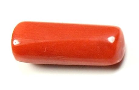 मूंगा पहनने से लाभ अनेक- मिलेगी सेना की नौकरी या पुलिस की नौकरी और दूर होगा शरीर का आलस्य Moonga Benefits 16 मूंगा पहनने से लाभ Moonga Benefits