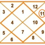 Kundli me laabesh कुंडली में एकादश भाव