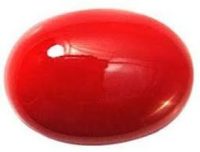 मूंगा से रोगों का उपचार कैसे करें How to cure diseases with coral with 11 methods 2 मूंगा से रोगों का उपचार कैसे करें How to cure diseases with coral with 11 methods