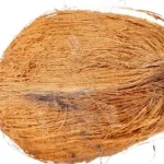 नारियल के टोटके से कैसे पाए जीवन सुख शांति 6 nariyal ke totke to get happiness and peace in life 16 नारियल के टोटके से कैसे पाए जीवन सुख शांति How to get happiness and peace in life with 6 coconut trick