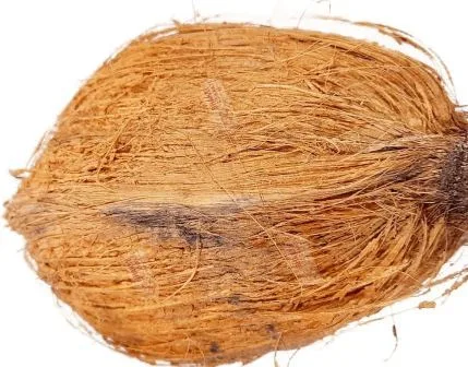 नारियल के टोटके से कैसे पाए जीवन सुख शांति 6 nariyal ke totke to get happiness and peace in life 16 नारियल के टोटके से कैसे पाए जीवन सुख शांति How to get happiness and peace in life with 6 coconut trick