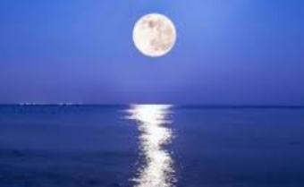 Vaishakh Purnima 2024: वैशाख पूर्णिमा के उपाय से मिलेगी माता लक्ष्मी की कृपा ,चंद्रमा और शुक्र होंगे बलवान 5 Astrological remedies 6 Vaishakh Purnima 2024 वैशाख पूर्णिमा के उपाय